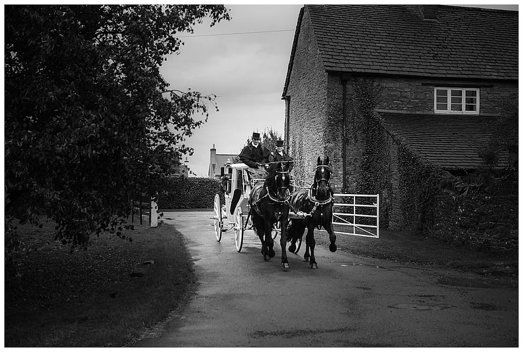 horse and carriage wedding photography