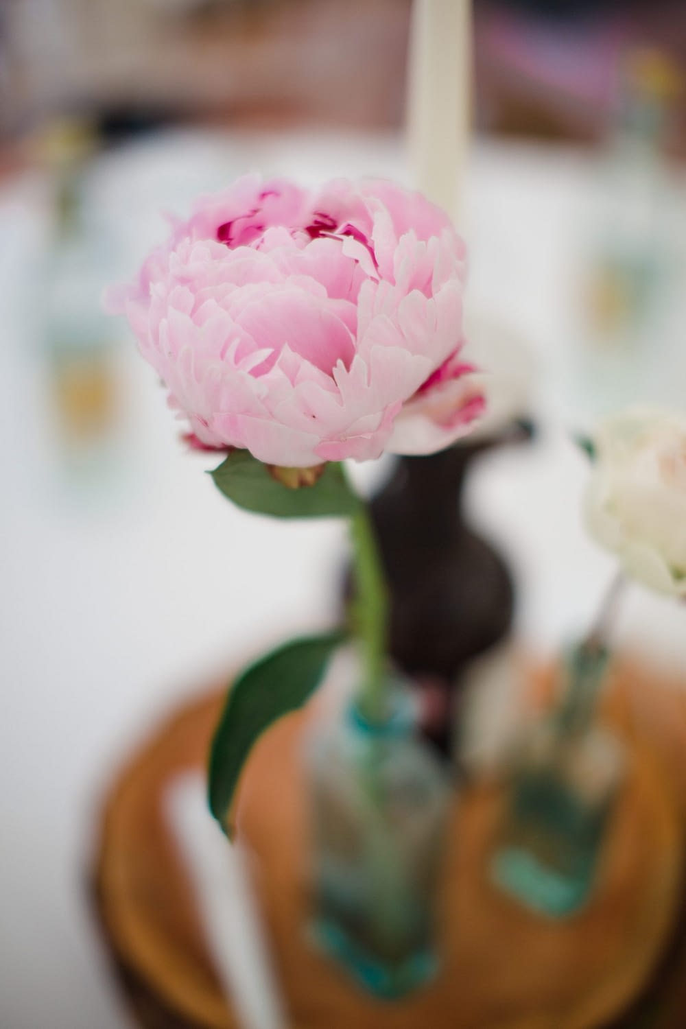 single flower in vase wild and co wedding 