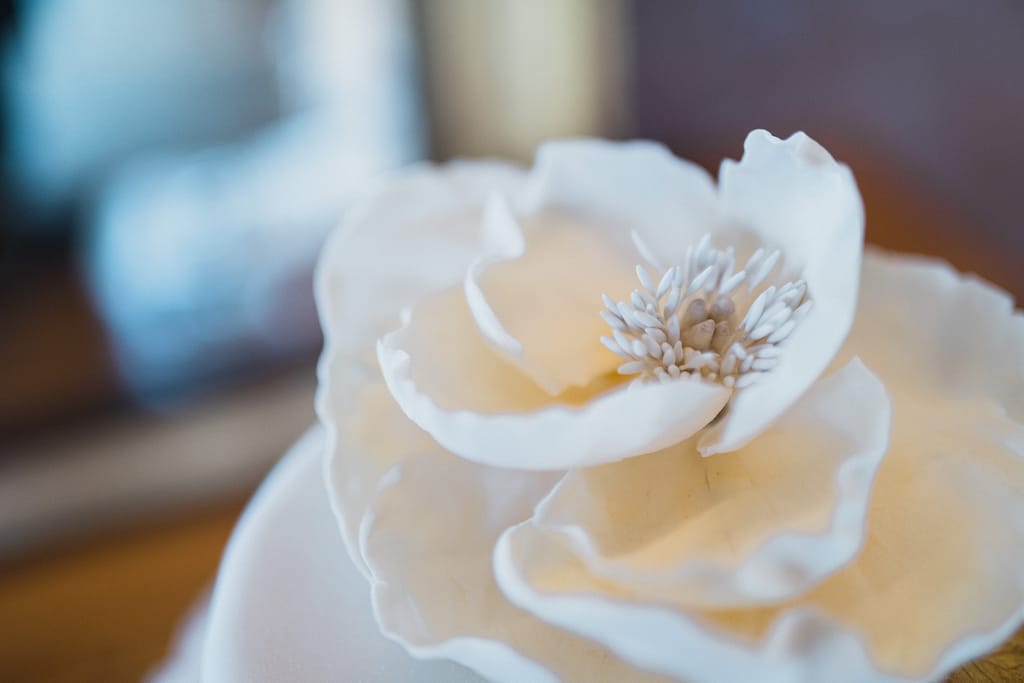 top of wedding cake flower Elmore court photography