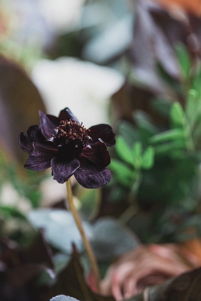 dark purple flower Elmore court wedding photographer
